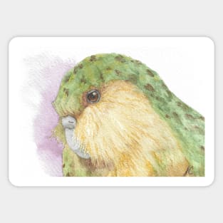 watercolor kakapo owl parrot portrait painting Sticker